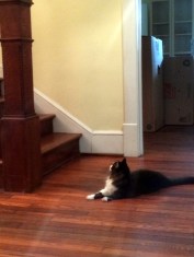 Daunting, but doable