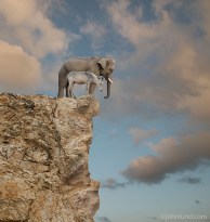 Elephant-Donkey-On-Cliff